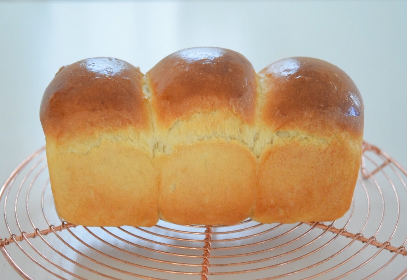 電子レンジ発酵で時短の手作り食パン! パウンド型を使う簡単レシピ