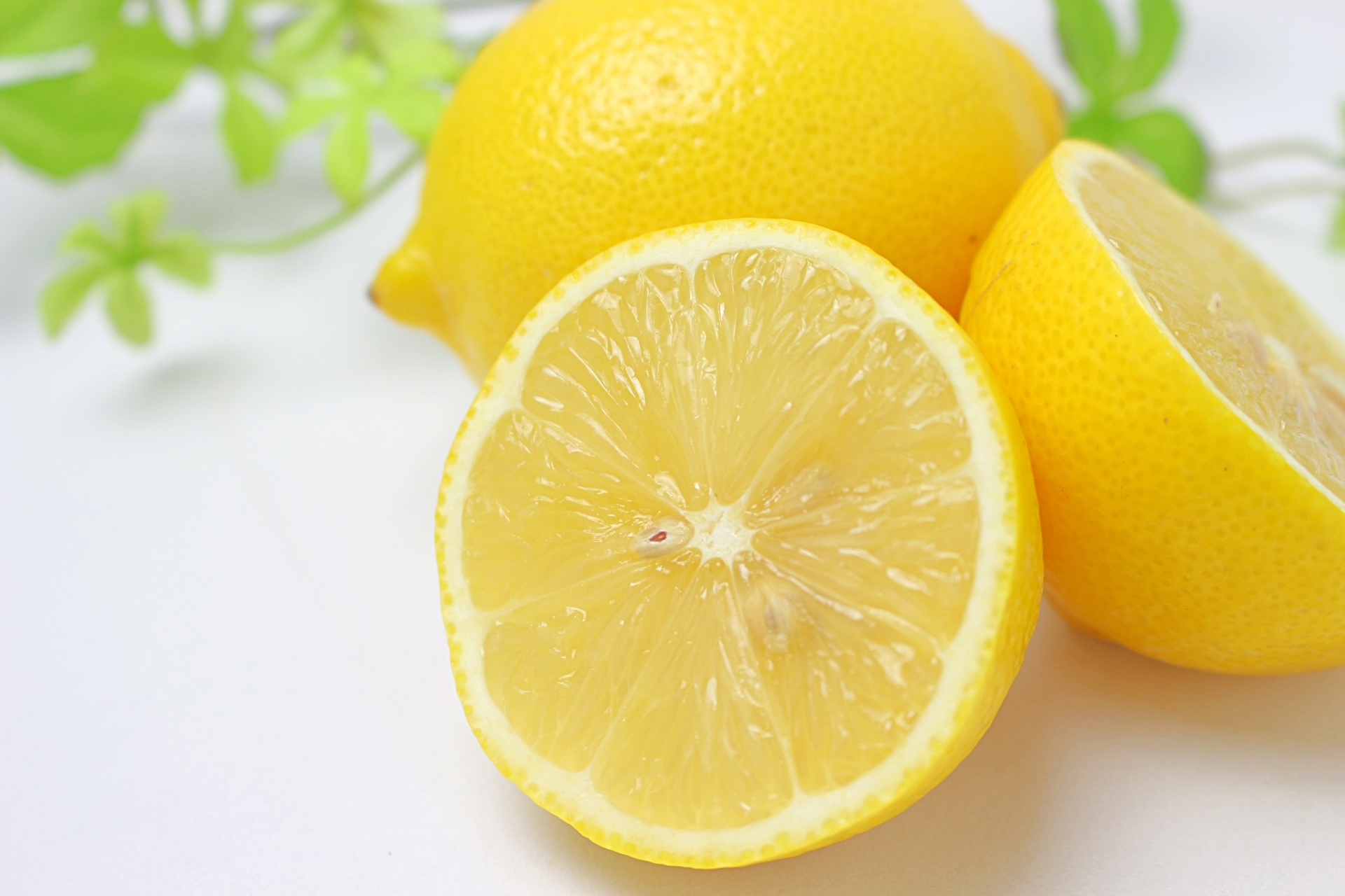 この夏「国産レモン」がスーパーから消える！？今始めたい「レモン仕事」のハウツー教えます