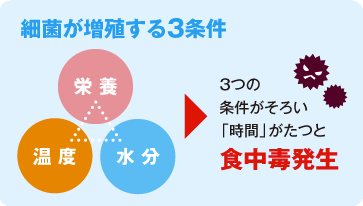 C9456784c7a8765f
