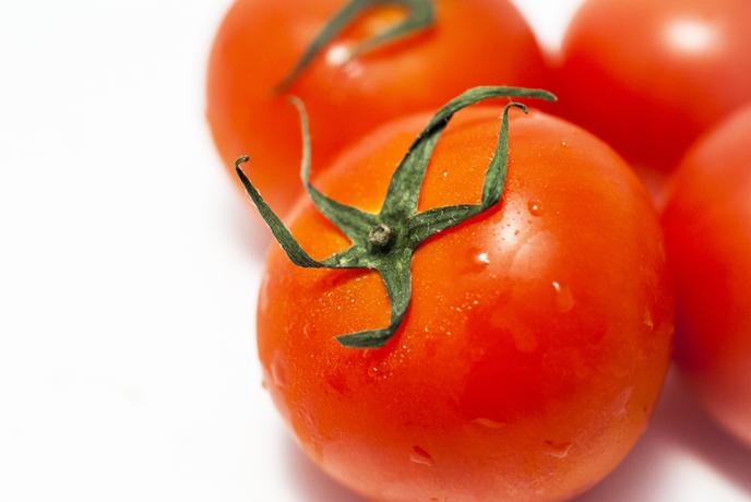 レシピ付き 夏野菜の種類や特徴を専門家が解説 トマトは夏野菜じゃないってほんと トクバイニュース