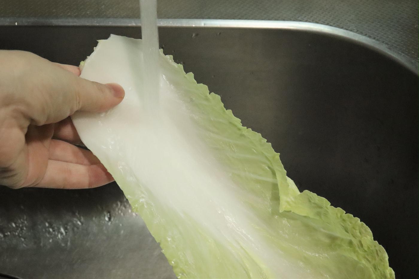 白菜は洗うべき 正しい洗い方と洗う際のポイントを管理栄養士が解説 トクバイニュース