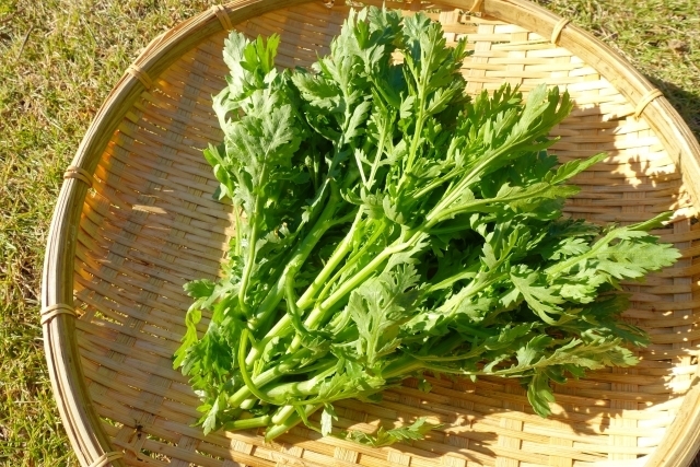 春菊にはどんな栄養がある ほかの野菜との成分比較や効果的な食べ方を管理栄養士が解説 トクバイニュース