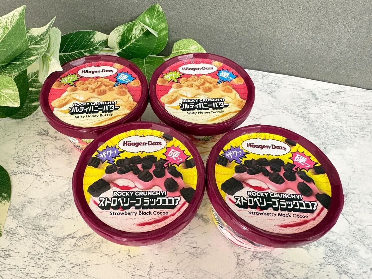 ハーゲンダッツ】新作“ザク硬”食感がたまらない！「ROCKY - くふう