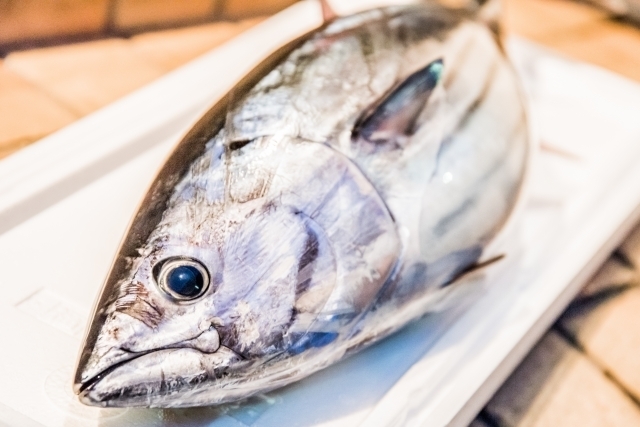 カツオの栄養を管理栄養士が徹底解説 マグロとの比較も紹介 トクバイニュース