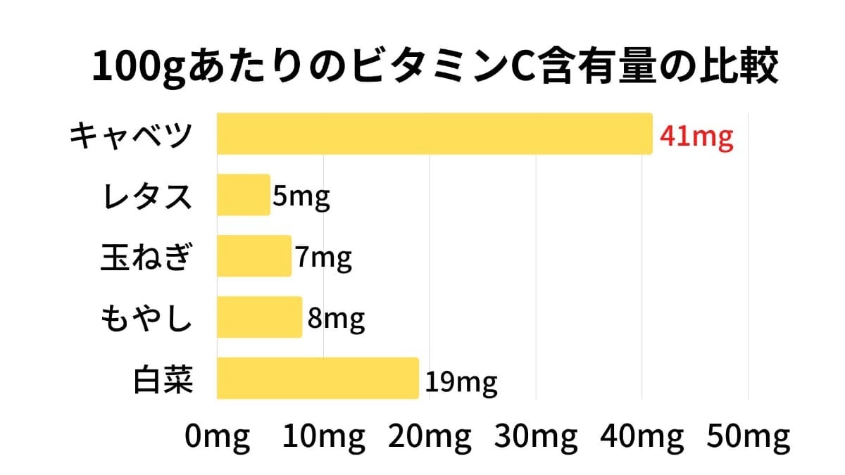キャベツ 栄養