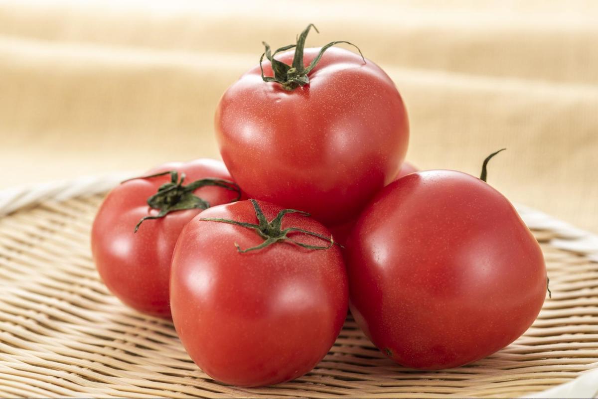 トマトの食べ過ぎはなぜNG？身体に与える影響と1日あたりの目安量 - トクバイニュース