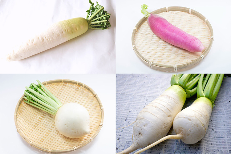 スーパーの「大根」どれ選ぶのが正解？青首、赤大根、辛味…特徴を知れ