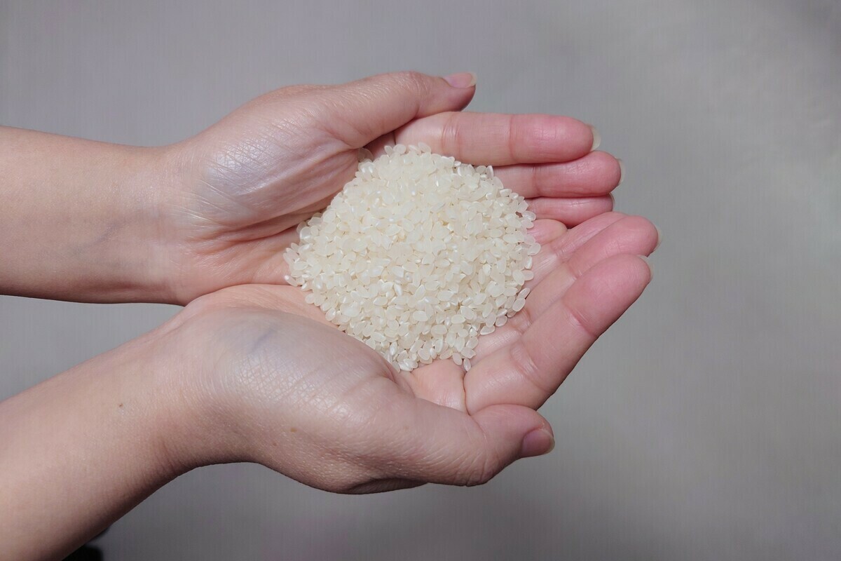 徹底解説】「備蓄米」どのチェーンが取り扱う？いつから買える？いくら