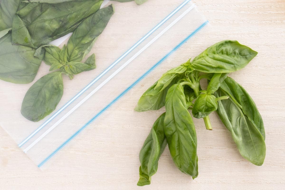 BASIL様♡おまとめ専用 済み BASIL様♡おまとめ専用 済み Basil様専用