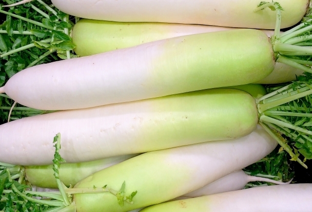 大根のカロリー 糖質の量はどれくらい 料理別のカロリーも解説 トクバイニュース
