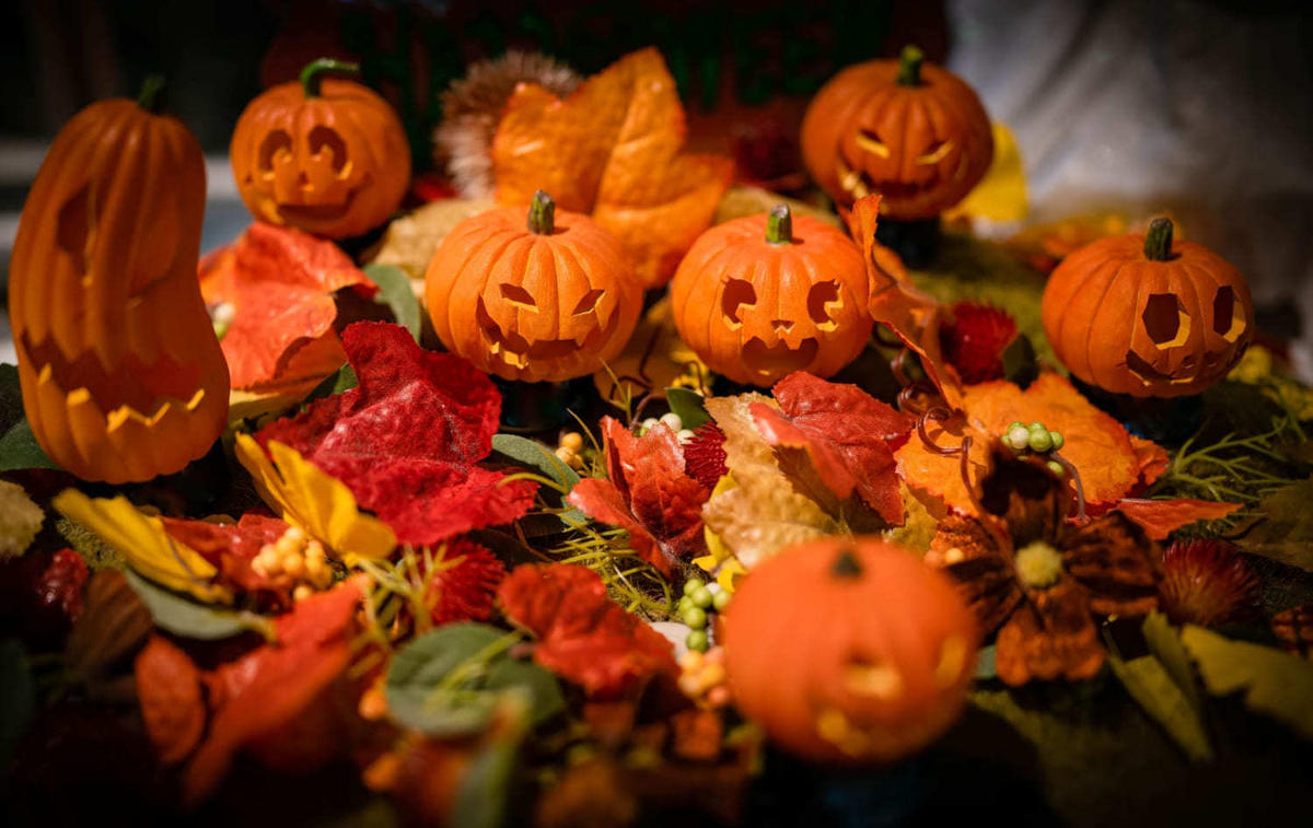 ハロウィンのかぼちゃ起源は「悪魔からもらった火」？明日から使える豆