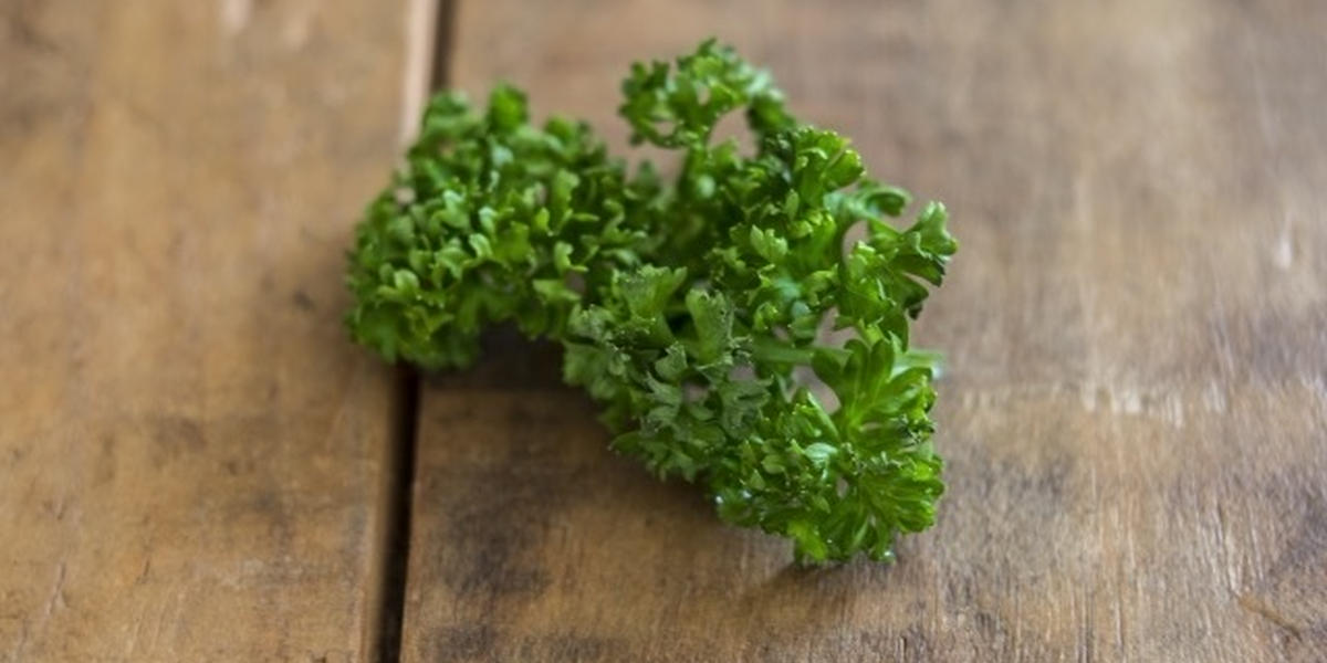 パセリにはどんな効能があるの 含まれる栄養素を管理栄養士が解説 トクバイニュース
