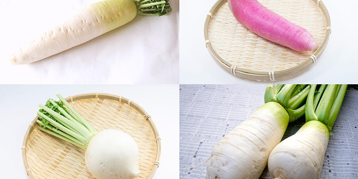 スーパーの「大根」どれ選ぶのが正解？青首、赤大根、辛味…特徴を知れ