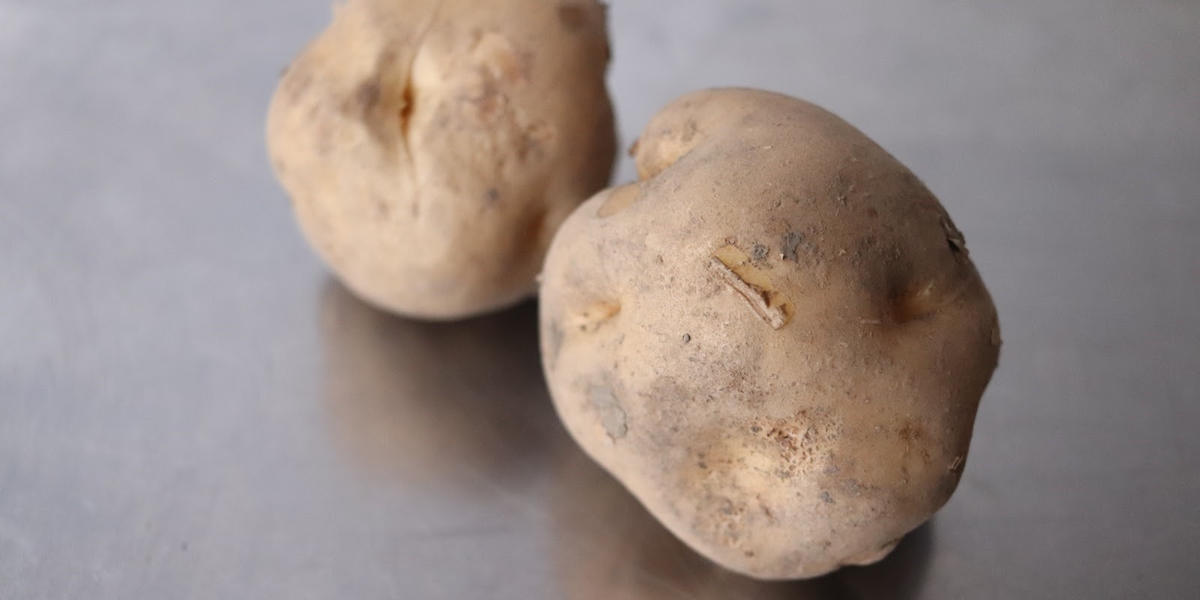 じゃがいものアク 抜かないとどうなる 実は料理によってはアク抜き不要 トクバイニュース