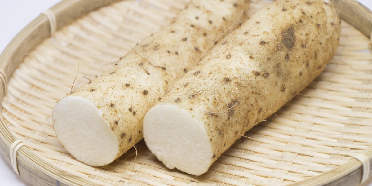 いも類なのに生食ok 長いも 大和いも 山いもの違いは 長いもの魅力を解説 トクバイニュース