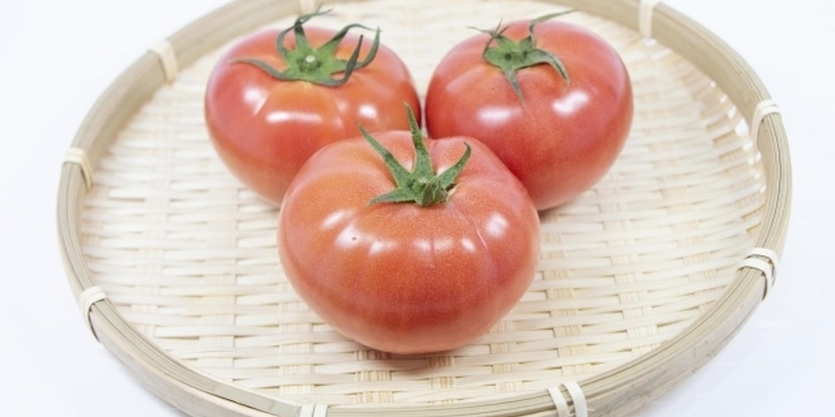管理栄養士が解説 トマトのカロリー 糖質の量は ダイエット中の疑問を解決 トクバイニュース