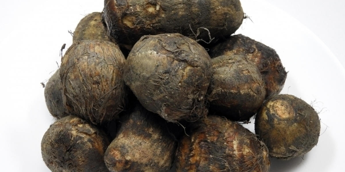 さといもの保存方法 常温 冷蔵 冷凍それぞれのポイントを解説 トクバイニュース