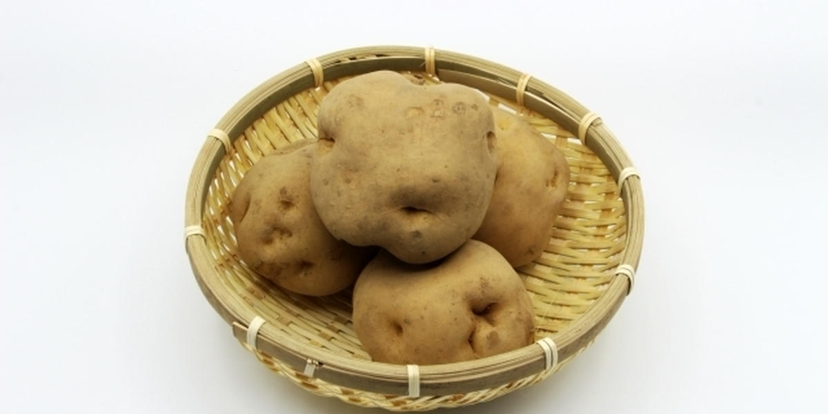 カビが生えたじゃがいもは食べても大丈夫 カビを防いで長く保存するテクニックとは トクバイニュース