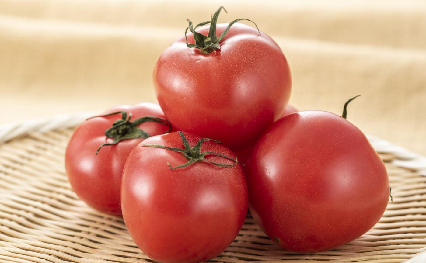 トマトの食べ過ぎはなぜNG？身体に与える影響と1日あたりの目安量 - トクバイニュース