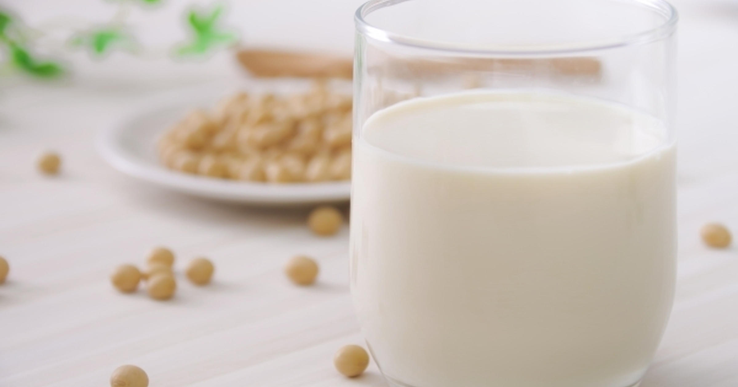 実は危険な 豆乳の飲み過ぎ 起こりうるリスクや1日の最適量を管理栄養士が解説します トクバイニュース
