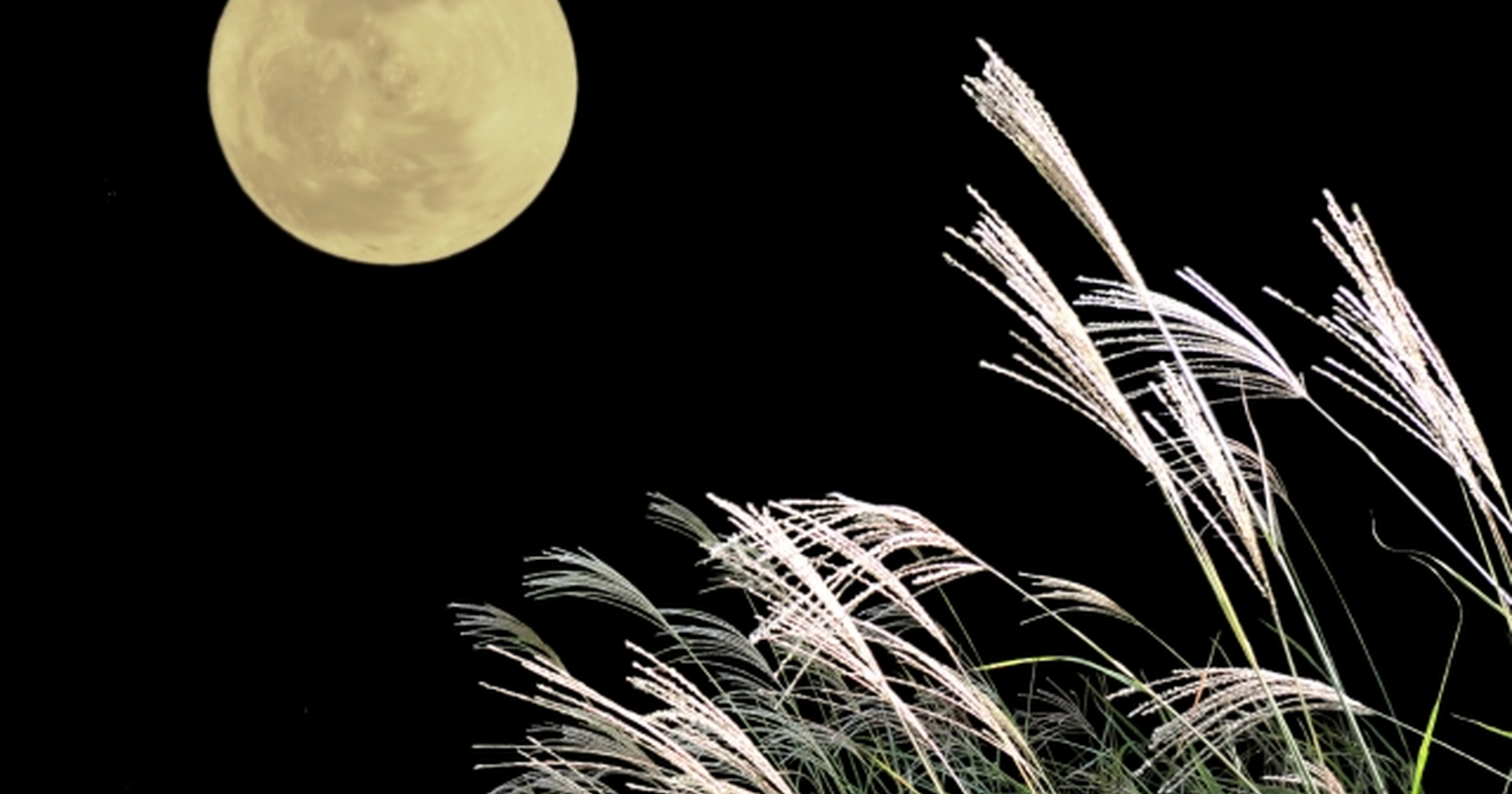 中秋の名月と片見月の違いは何ですか？