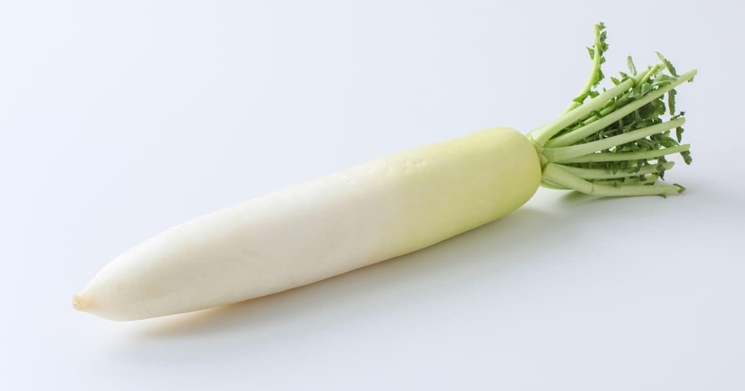 取れたて大根 大根｜みなとの野菜大辞典