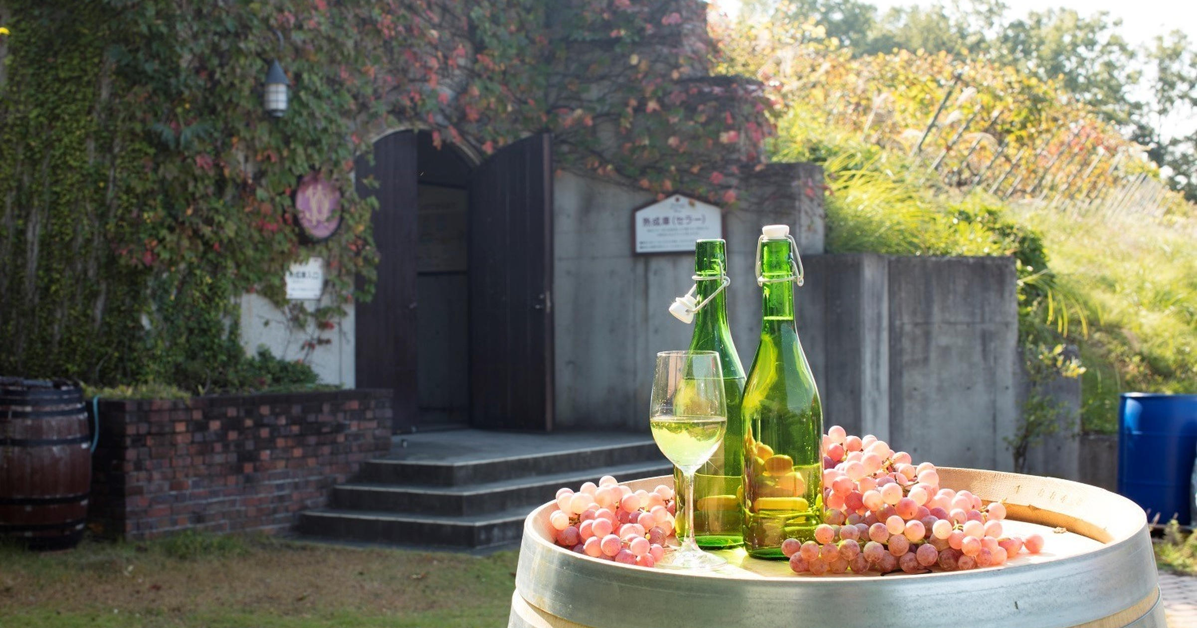 シャトレーゼはワインもコスパ抜群! 