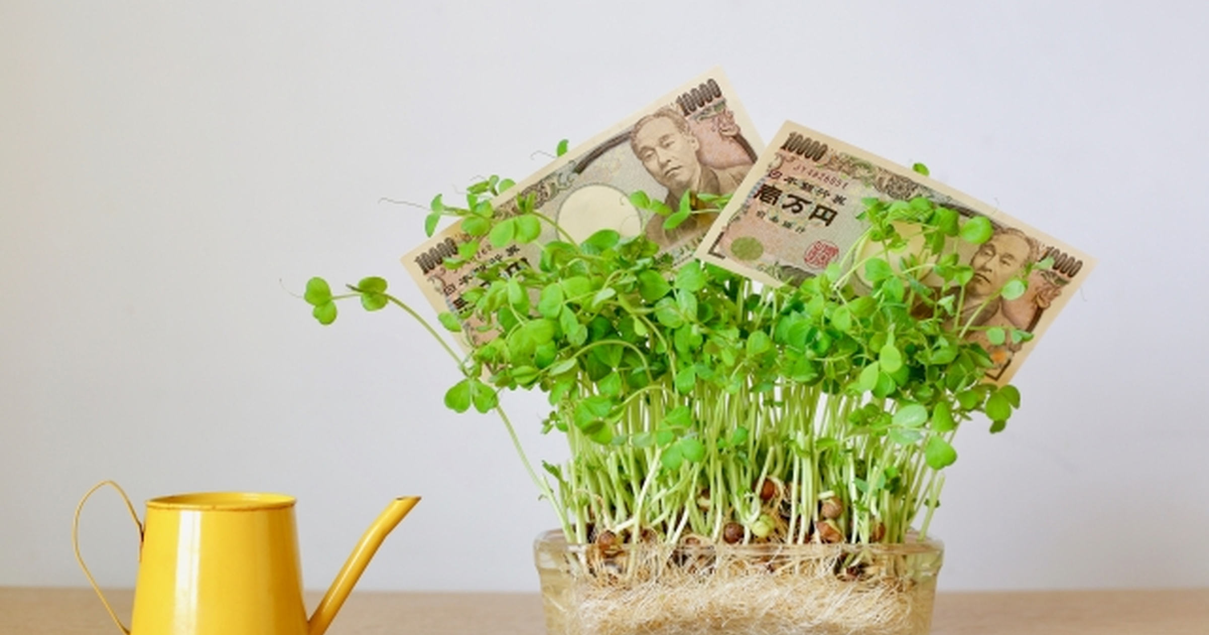 毎月プラス1万円貯金で効果絶大 節約 投資で変わる我が家の家計 トクバイニュース