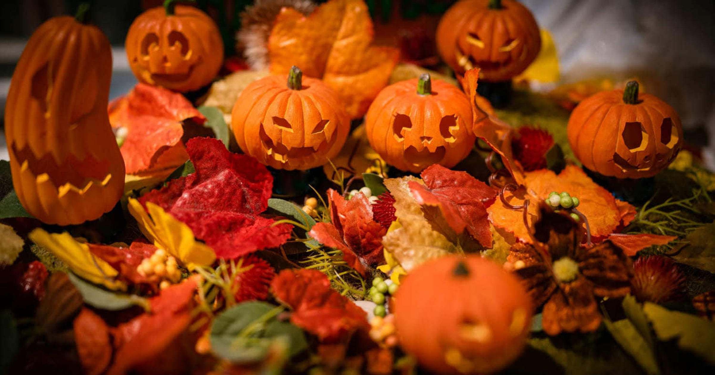 ハロウィンのかぼちゃ起源は「悪魔からもらった火」？明日から使える豆