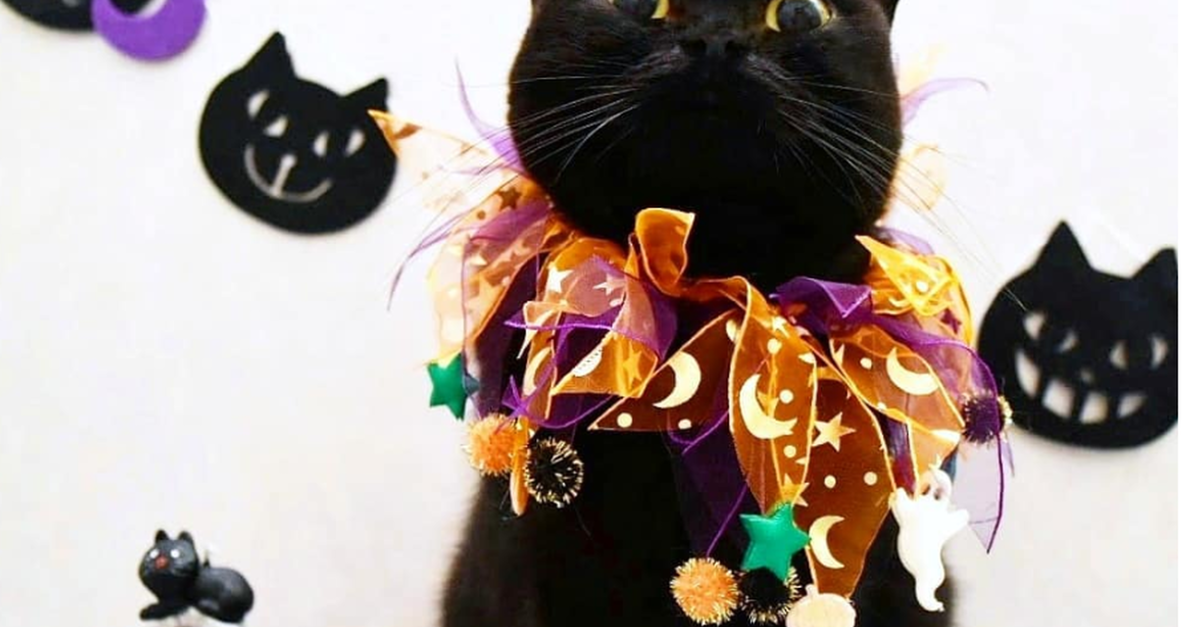 ハロウィン猫」集めてみた--ハロウィン仮装ブームはついに猫にまで ...